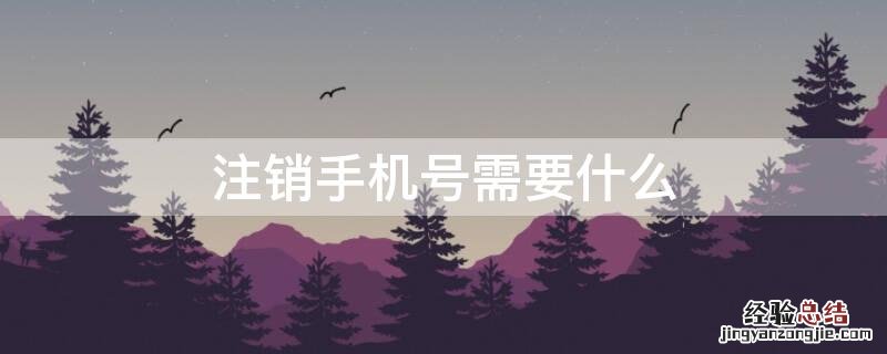 注销手机号需要什么