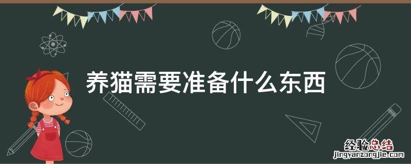 养猫需要准备什么东西