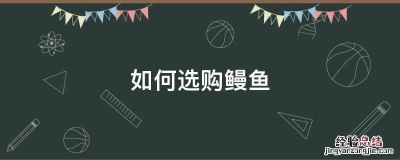 如何选购鳗鱼