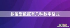 数值型数据有几种数字格式 数值型数据有哪些类型