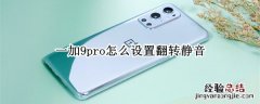 一加9pro怎么设置翻转静音