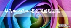 华为 Nova7怎么设置返回键