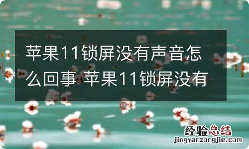 苹果11锁屏没有声音怎么回事 苹果11锁屏没有声音怎么设置