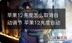 苹果12亮度怎么取消自动调节 苹果12亮度自动调节怎么关闭