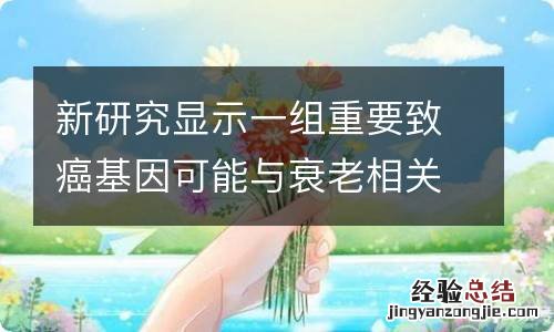 新研究显示一组重要致癌基因可能与衰老相关