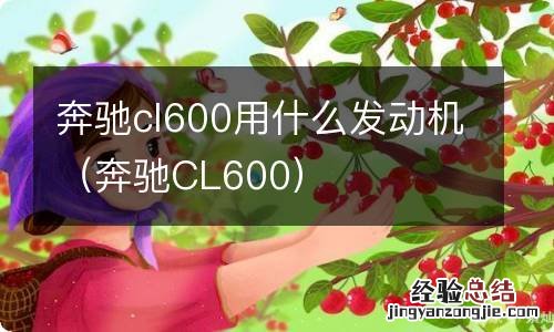 奔驰CL600 奔驰cl600用什么发动机