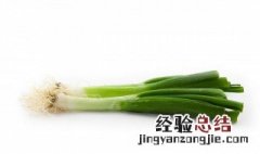 葱头养护方法 怎么种植葱头