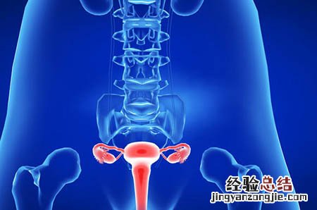 如何培养学生的观察力观察认知
