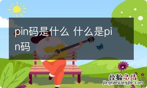 pin码是什么 什么是pin码