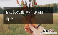 trip怎么算油耗 油耗tripA