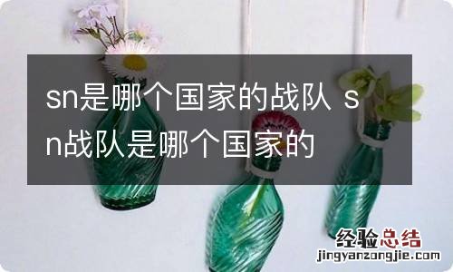 sn是哪个国家的战队 sn战队是哪个国家的
