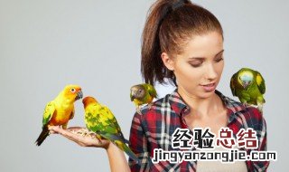 鹦鹉剪羽技巧 鹦鹉剪羽技巧推荐