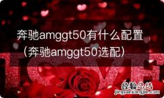 奔驰amggt50选配 奔驰amggt50有什么配置