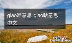 giao啥意思 giao啥意思中文