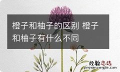 橙子和柚子的区别 橙子和柚子有什么不同