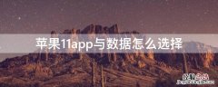 苹果手机11app与数据怎么选择 iPhone11app与数据怎么选择