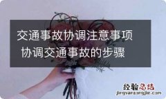 交通事故协调注意事项 协调交通事故的步骤