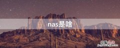 nas是啥