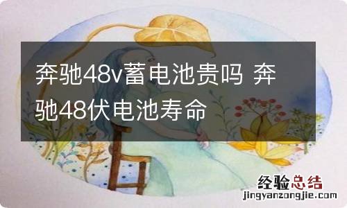 奔驰48v蓄电池贵吗 奔驰48伏电池寿命