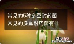 常见的5种多重耐药菌 常见的多重耐药菌有什么