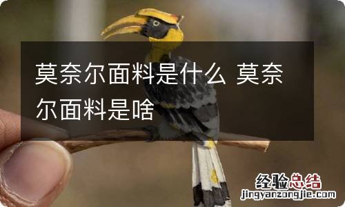 莫奈尔面料是什么 莫奈尔面料是啥