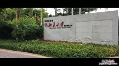 清华大学深圳研究生院有哪些专业