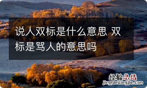 说人双标是什么意思 双标是骂人的意思吗