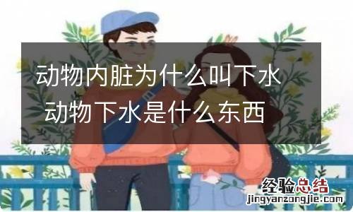 动物内脏为什么叫下水 动物下水是什么东西