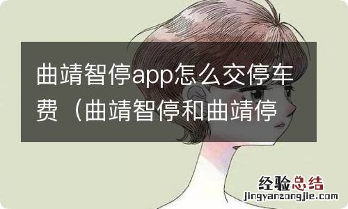 曲靖智停和曲靖停车 曲靖智停app怎么交停车费