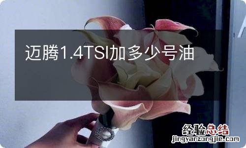 迈腾1.4TSI加多少号油
