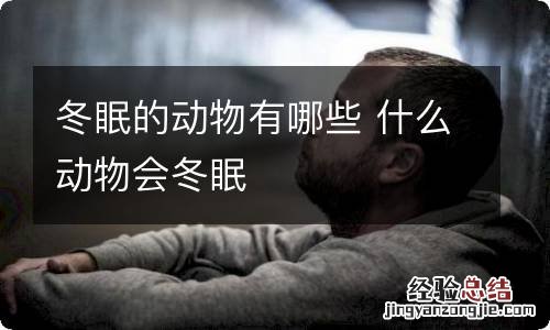 冬眠的动物有哪些 什么动物会冬眠