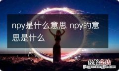 npy是什么意思 npy的意思是什么