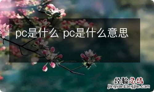 pc是什么 pc是什么意思