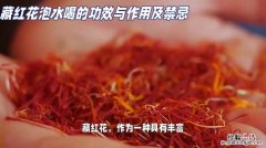 丁香花的作用和功效，有什么禁忌