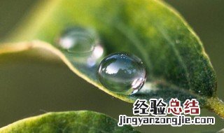 雨珠露珠泪珠的体裁是什么 雨珠露珠泪珠的体裁是啥