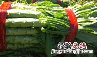 贡菜和莴笋的区别是什么 贡菜和莴笋的区别介绍