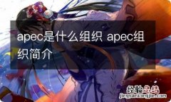 apec是什么组织 apec组织简介