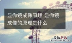 显微镜成像原理 显微镜成像的原理是什么