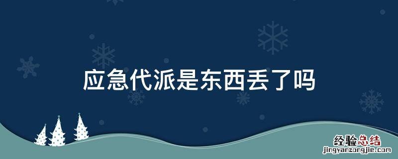 应急代派是东西丢了吗