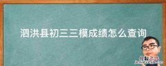 泗洪县初三三模成绩怎么查询