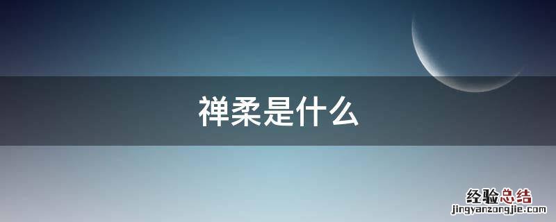 禅柔是什么