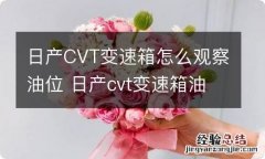 日产CVT变速箱怎么观察油位 日产cvt变速箱油尺怎么看