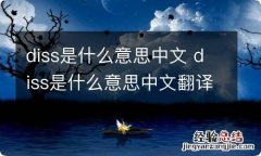 diss是什么意思中文 diss是什么意思中文翻译