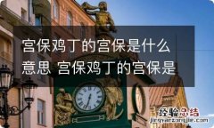 宫保鸡丁的宫保是什么意思 宫保鸡丁的宫保是什么意思是人名还是官名