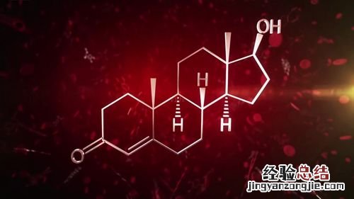 生物化学中的bp是什么单位