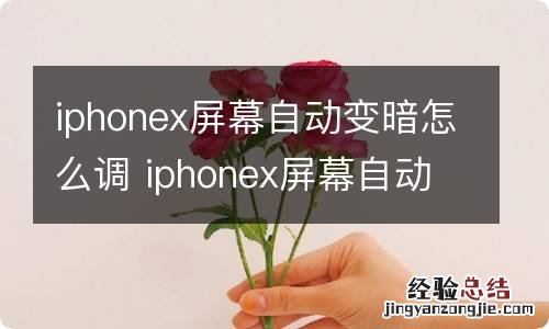 iphonex屏幕自动变暗怎么调 iphonex屏幕自动变暗怎么办