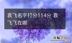 袁飞名字打分114分 袁飞飞在哪