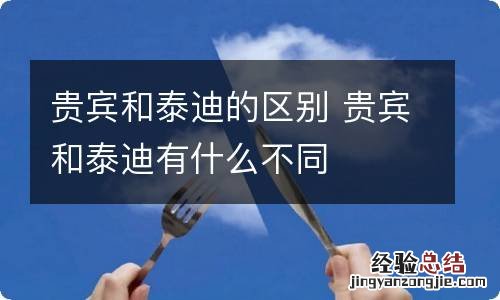贵宾和泰迪的区别 贵宾和泰迪有什么不同