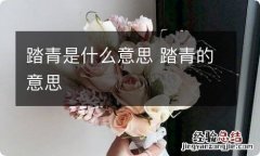 踏青是什么意思 踏青的意思