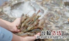 鲜海虾保存方法 鲜海虾保存方法是什么